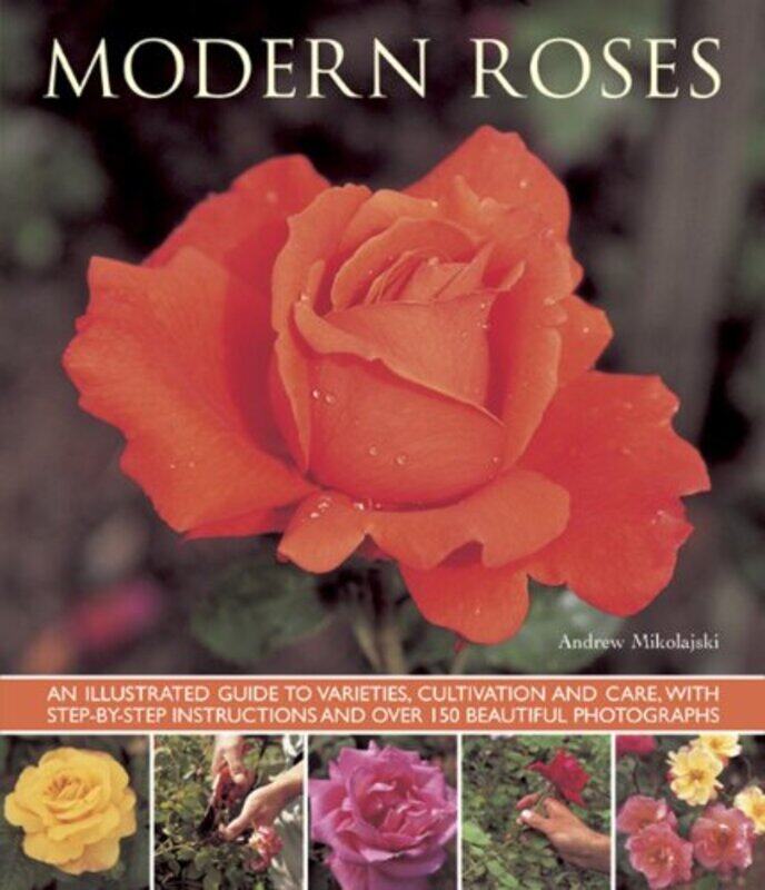 

Modern Roses by Richard S Briggs-Paperback
