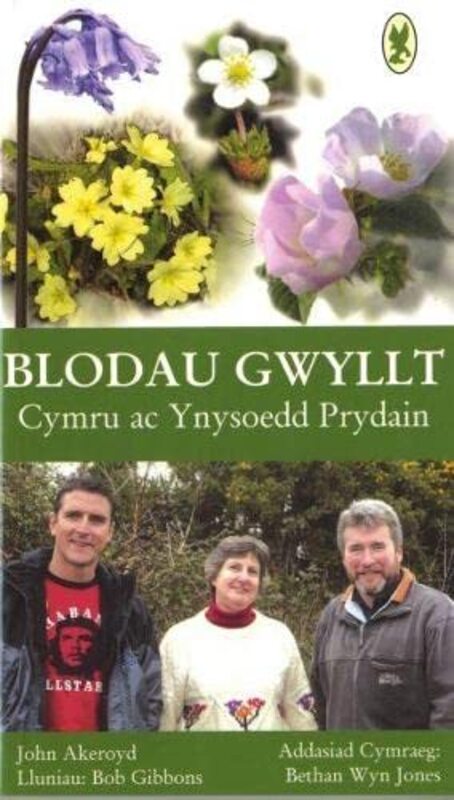 

Blodau Gwyllt Cymru ac Ynysoedd Prydain by Bhawani Shankar ChowdhryFaisal Karim ShaikhNaeem Ahmed Mahoto-Paperback