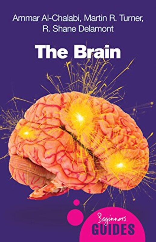 

The Brain by Phil Jarratt-Paperback