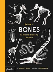 Book of Bones: 10 Record-Breaking Animals, Hardcover Book, By: Gabrielle Balkan