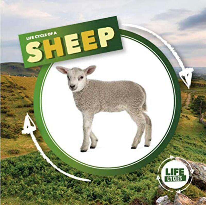 

Life Cycle of a Sheep by Veronika Maria Apfl-Hardcover