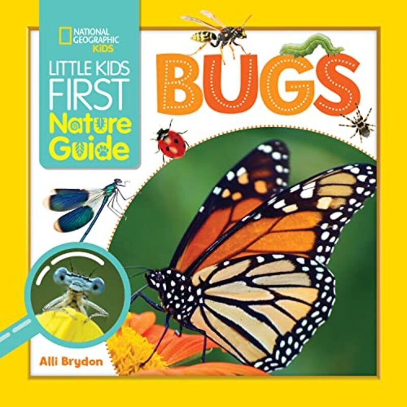 Ngk First Nature Guide Bugs by National Geographic Kids Paperback