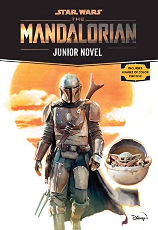 

Star Wars The Mandalorian Junior Novel by Joe Schreiber-Paperback