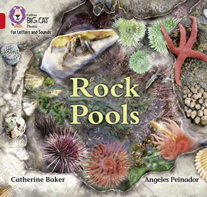 

Rock Pools by Zhang Pengpeng-Paperback