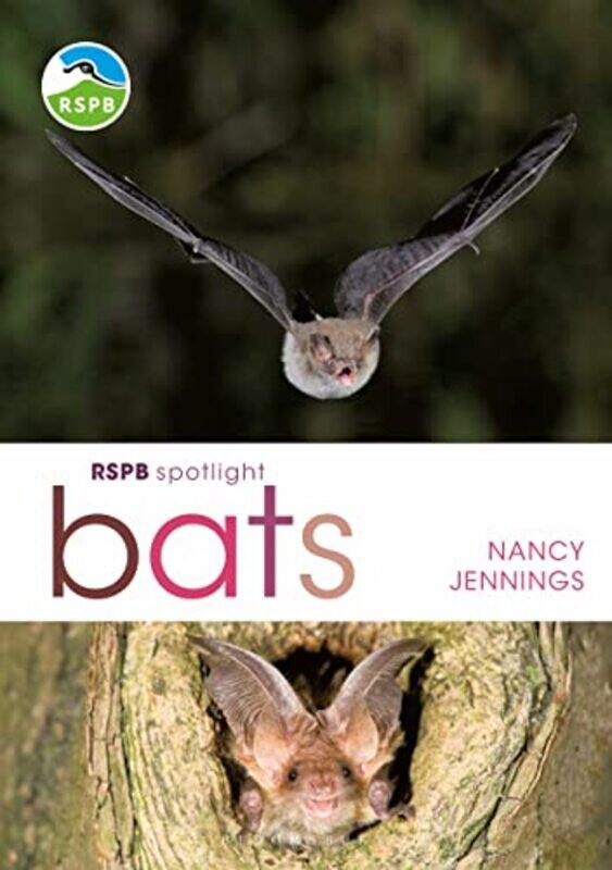 

RSPB Spotlight Bats by Gladys McGarey-Paperback