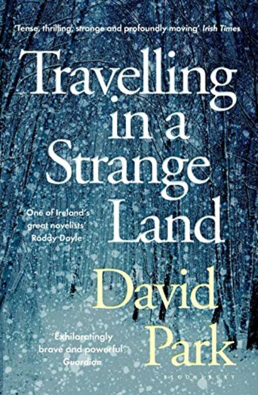 

Travelling in a Strange Land by David Park-Paperback