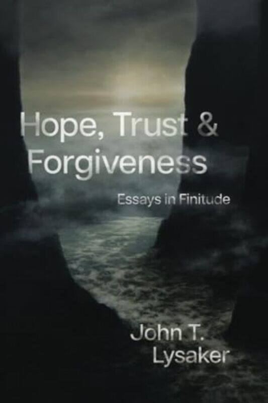 

Hope Trust and Forgiveness by Lisa FridsmaBrie Gyncild-Paperback