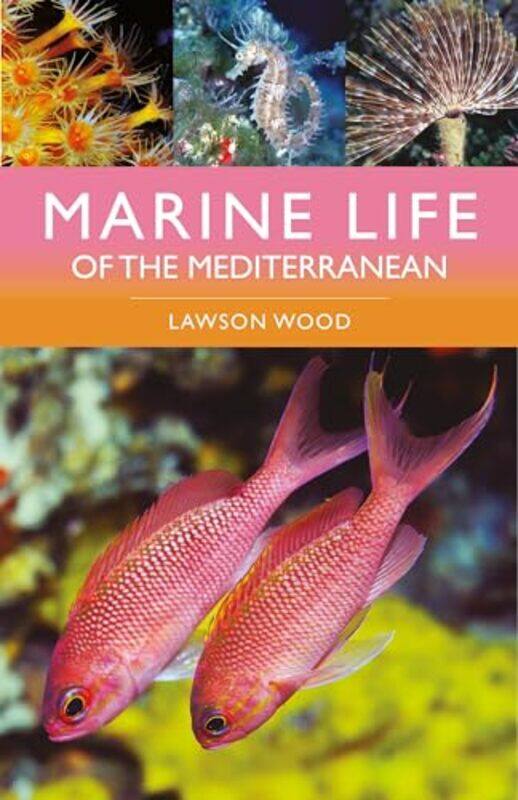 

Marine Life Of The Mediterranean by Lawson Wood-Paperback