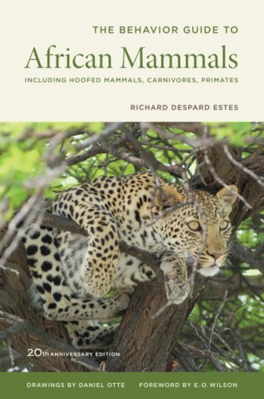 

The Behavior Guide to African Mammals by Amanda Bucci-Paperback