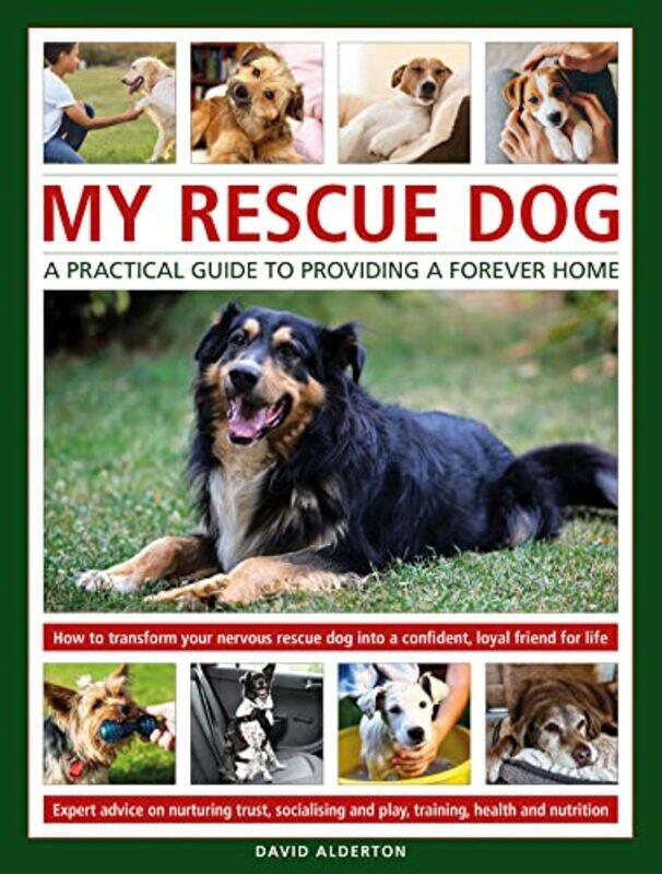 

My Rescue Dog A practical guide to providing a forever home by G Davidson Smith-Hardcover