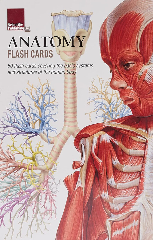 

Anatomy Flash Cards, Flash Cards, By: Scientific Publishing