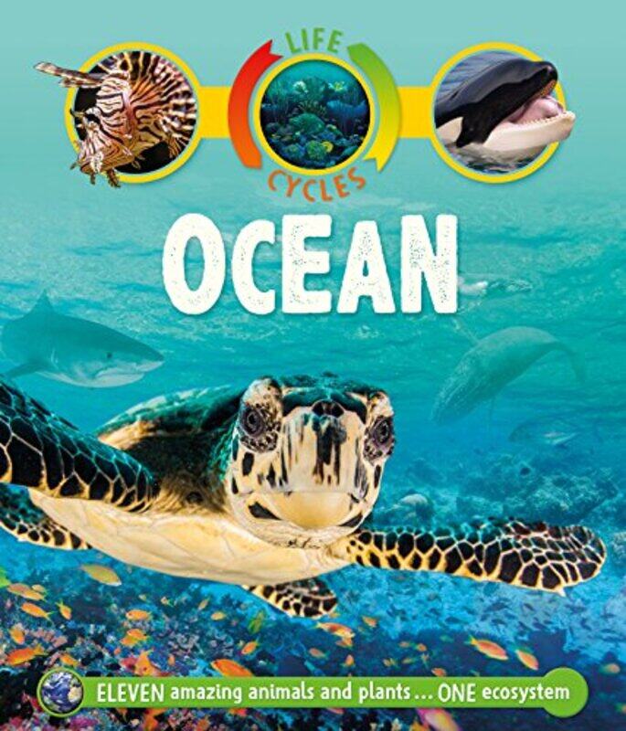 

Life Cycles: Ocean,Paperback by Callery, Sean