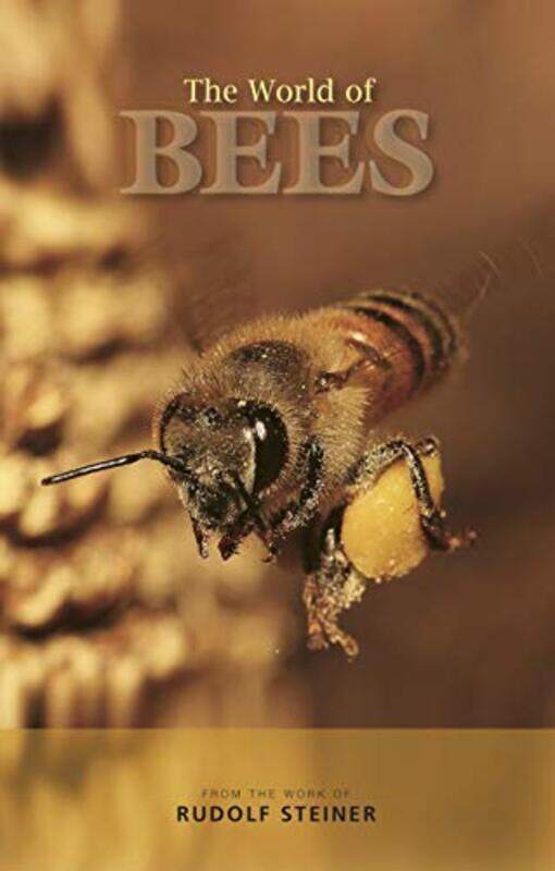 

The World of Bees by R De Reyna-Paperback