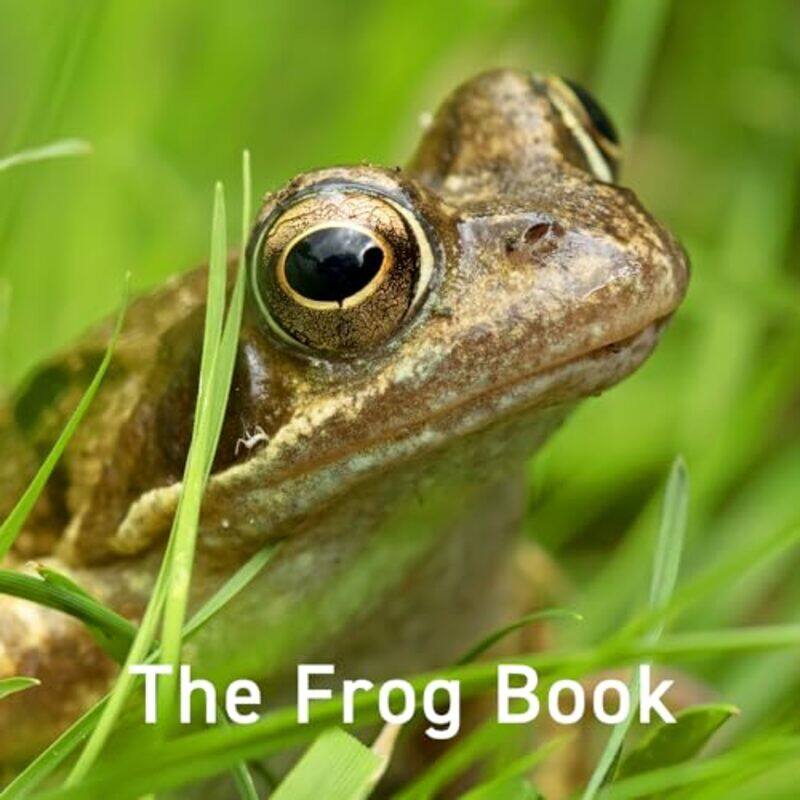 

Frog Book The by Jo ByrneJane Russ-Hardcover