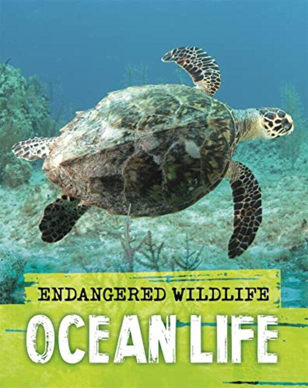 

Endangered Wildlife Rescuing Ocean Life by Anita Ganeri-Paperback