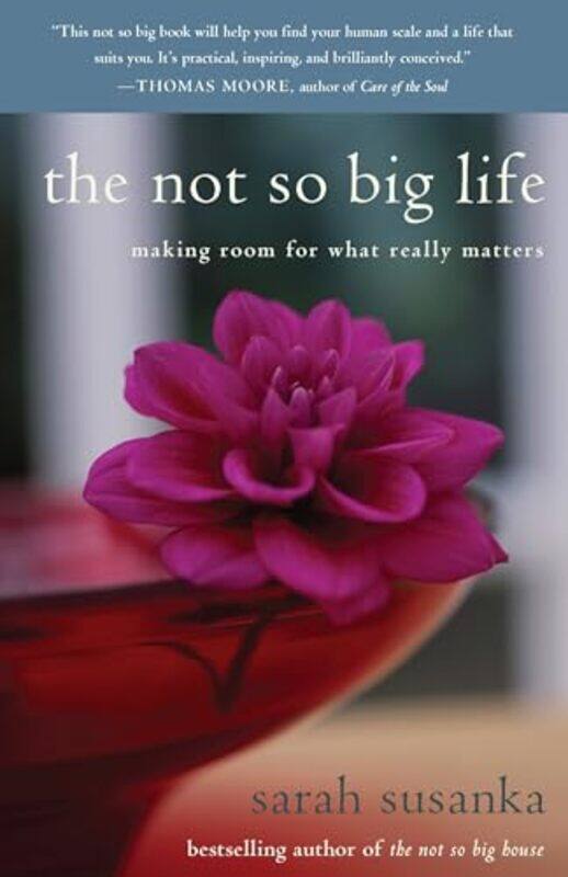 

The Not So Big Life by Paul Wapner-Paperback