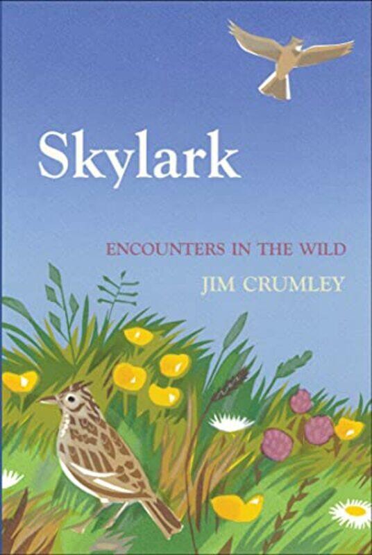 

Skylark by Toby Musgrave-Hardcover