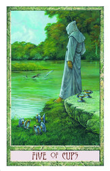 The Druid Craft Tarot Deck, Flash Cards, By: Philip Carr-Gomm, Stephanie Carr-Gomm, Will Worthington