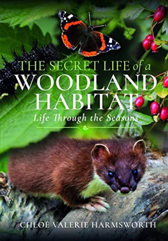 

The Secret Life of a Woodland Habitat by Paul George-Hardcover