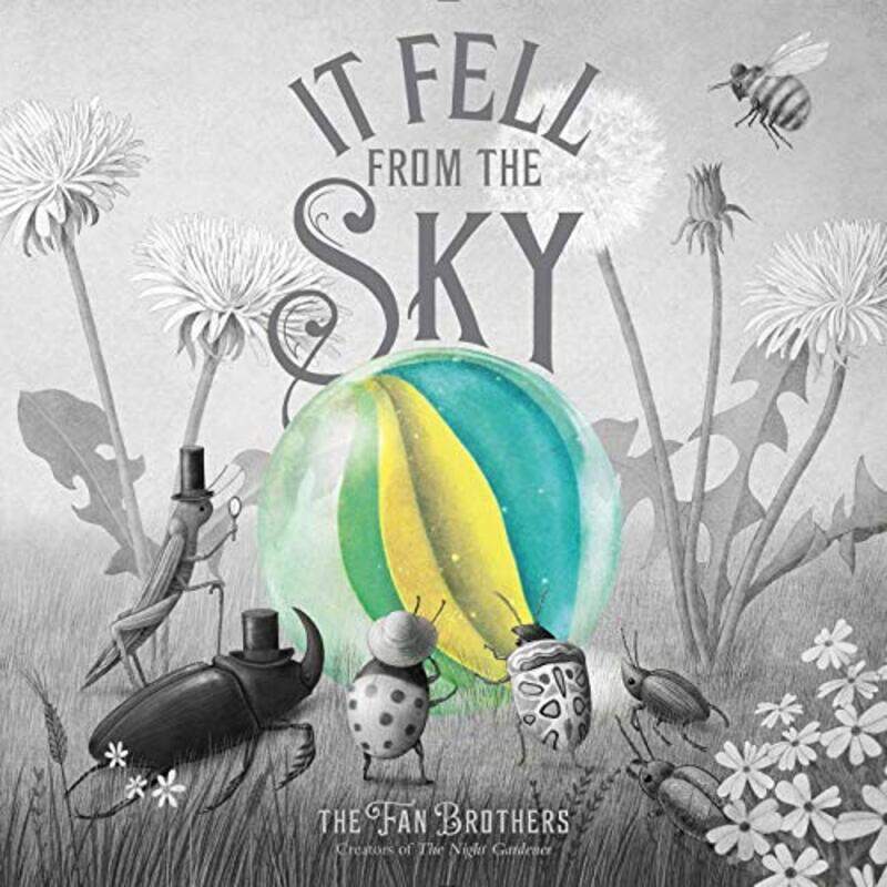 

It Fell from the Sky by Terry FanEric FanTerry FanEric Fan-Hardcover