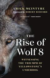 The Rise of Wolf 8: Witnessing the Triumph of Yellowstone Underdog Paperback by McIntyre, Rick - Redford, Robert
