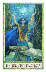 The Druid Craft Tarot Deck, Flash Cards, By: Philip Carr-Gomm, Stephanie Carr-Gomm, Will Worthington