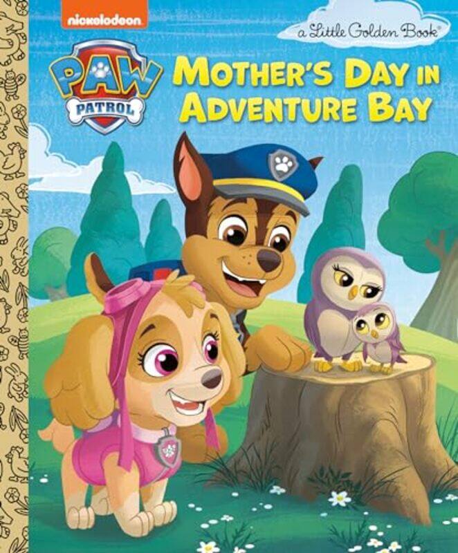 

Mothers Day In Adventure Bay By Huntley Matt - Hardcover