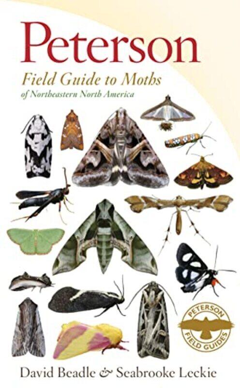 

Peterson Field Guide To Moths Of Northeastern North America , Paperback by David Beadle