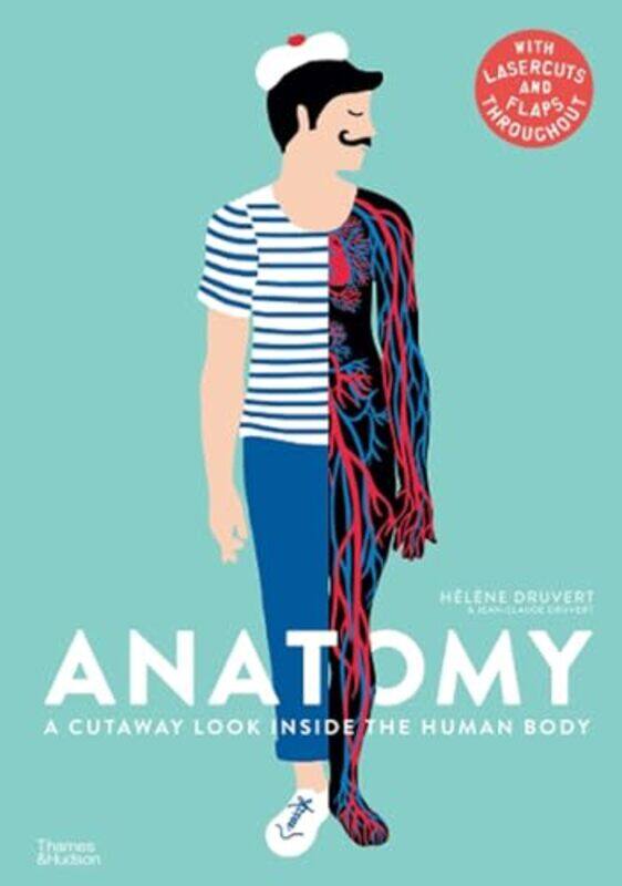 

Anatomy by Helene Druvert-Hardcover