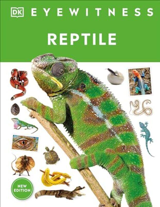 

Eyewitness Reptile by DK Hardcover