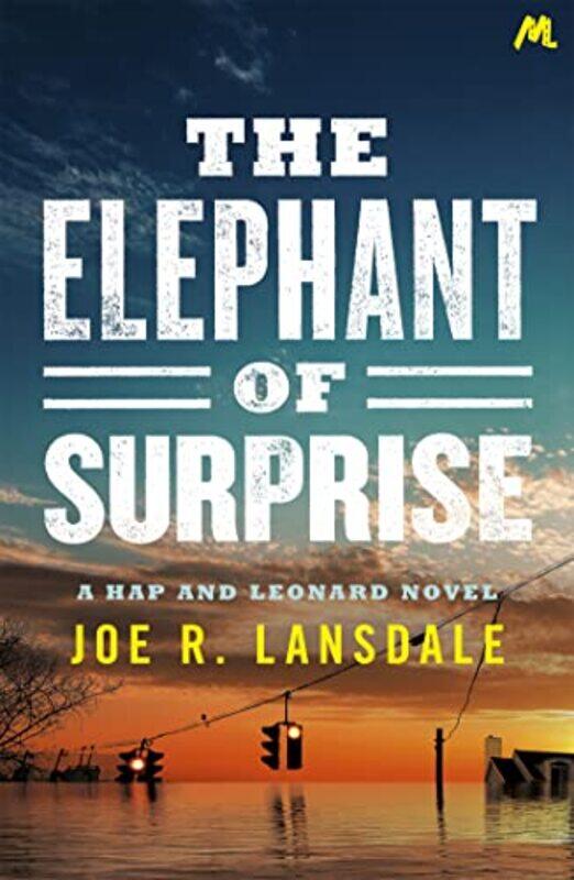 

The Elephant Of Surprise by Joe R Lansdale-Paperback