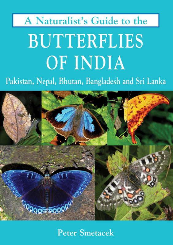 A Naturalist's Guide to the Butterflies of India, Paperback Book, By: Peter Smetacek