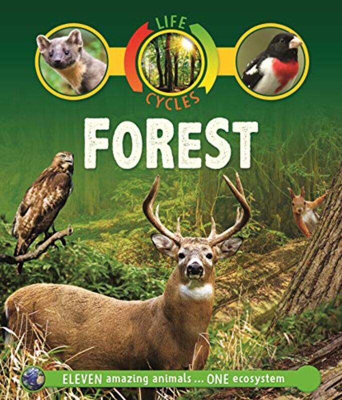 

Life Cycles Forest by Sean Callery-Paperback