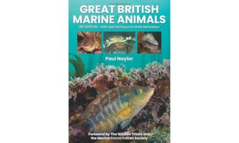 

Great British Marine Animals by Editors of Chartwell Books-Paperback