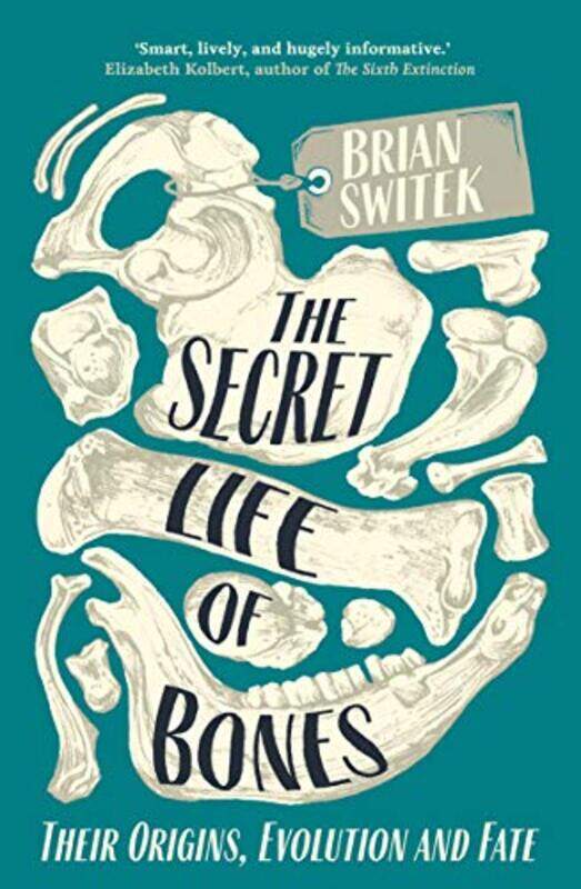 

The Secret Life of Bones by Brian Switek-Paperback