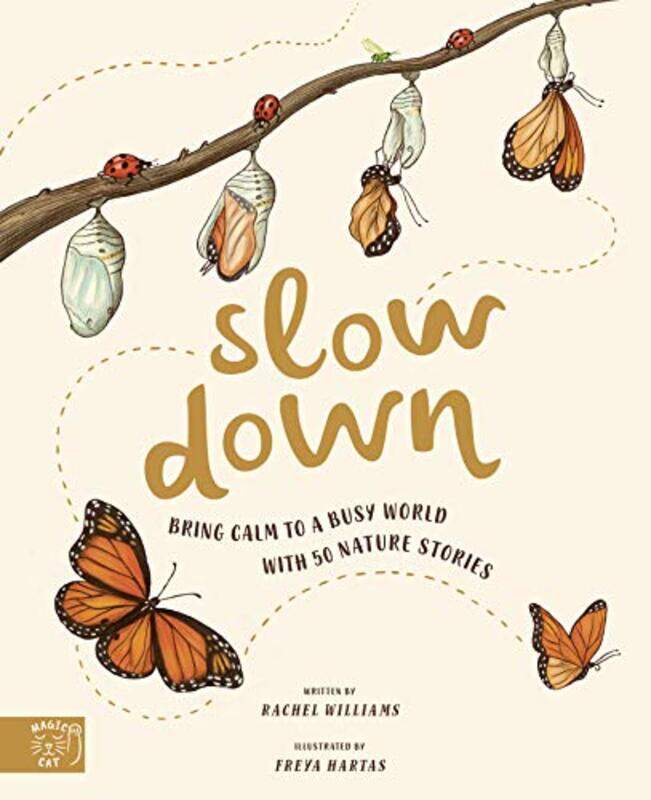 

Slow Down by Anne McIntyre-Hardcover
