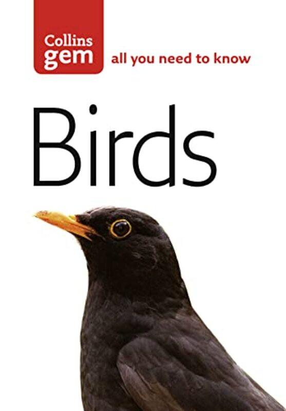 

Birds by Henry W LimLaurie L KohenSamantha L SchneiderDanielle Yeager-Paperback