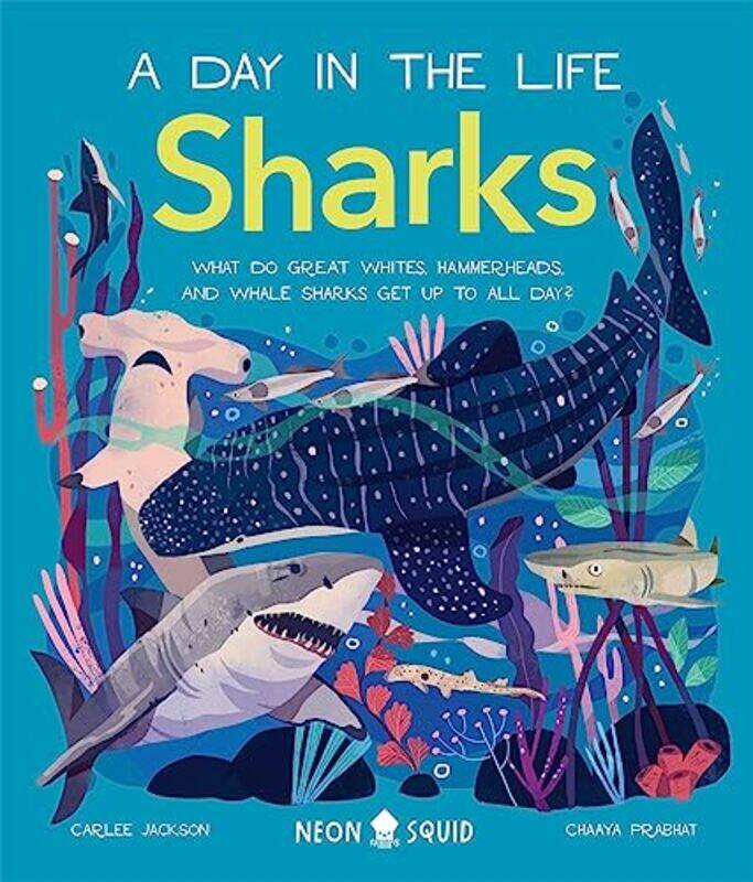 

Sharks A Day In The Life What Do Great Whites Hammerheads And Whale Sharks Get Up To All Day By Neon Squid, Carlee - Jackson - Prabhat -Hardcover