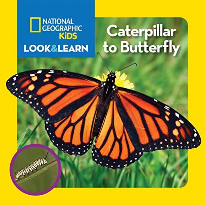 

Look and Learn Caterpillar to Butterfly,Paperback by National Geographic Kids