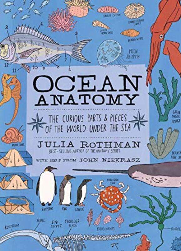 

Ocean Anatomy: The Curious Parts & Pieces of the World Under the Sea , Paperback by Rothman, Julia - Niekrasz, John