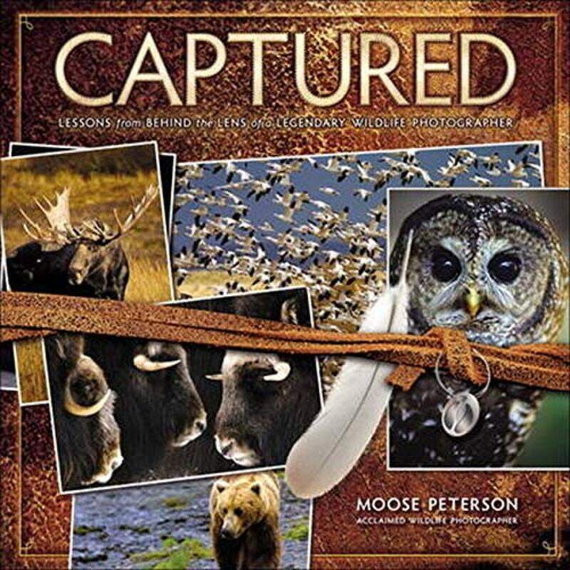 

Captured: Behind the Lens of a Legendary Wildlife Photographer (Voices That Matter), Paperback Book, By: Moose Peterson