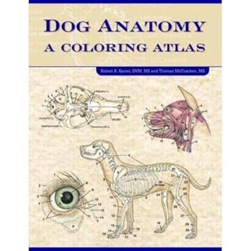 

Dog Anatomy by George Perkins MarshDavid Lowenthal-Paperback