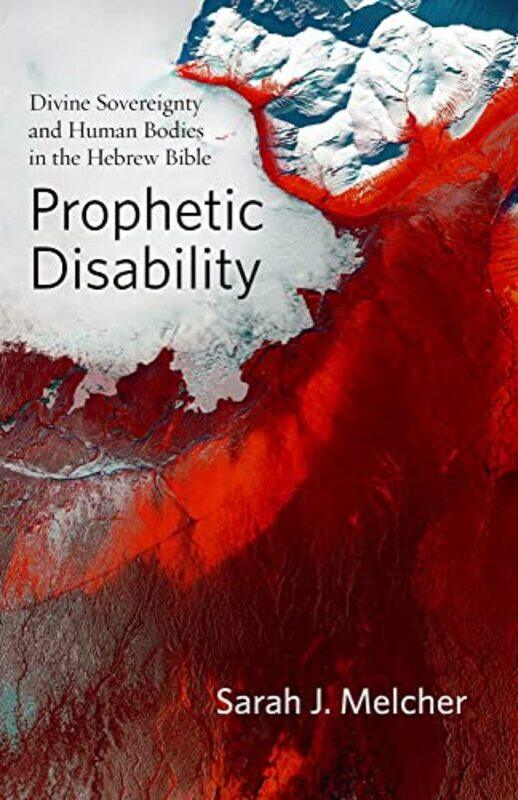 

Prophetic Disability by Sarah J Melcher-Hardcover
