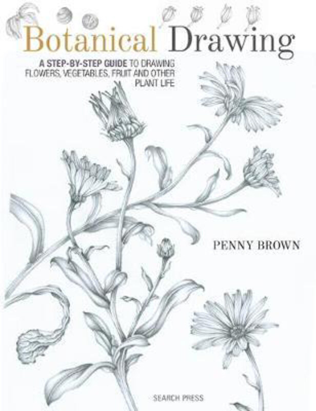 

Botanical Drawing: A Step-by-Step Guide to Drawing Flowers, Vegetables, Fruit and Other Plant Life, Paperback Book, By: Penny Brown