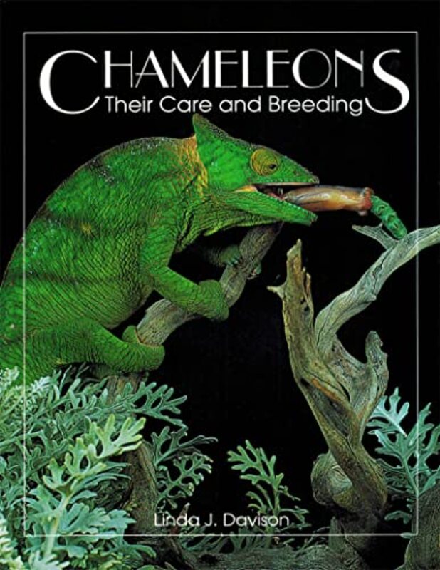 Chameleons by Panagiotis University of Greenwich UK Pentaris-Paperback