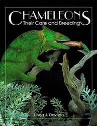 Chameleons by Panagiotis University of Greenwich UK Pentaris-Paperback