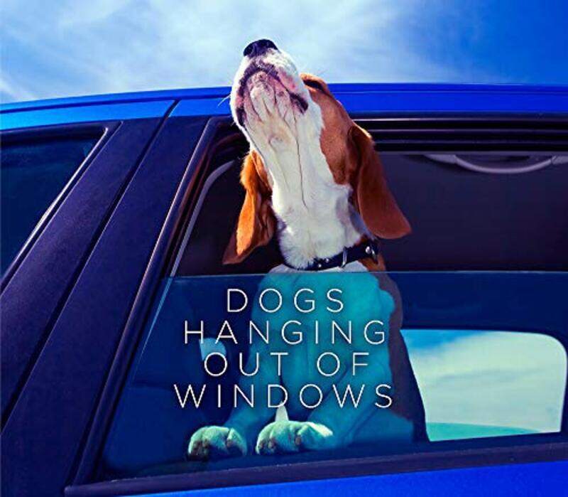 

Dogs Hanging Out Of Windows, Hardcover Book, By: Various