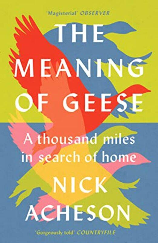 

The Meaning of Geese by Tom Needham-Paperback