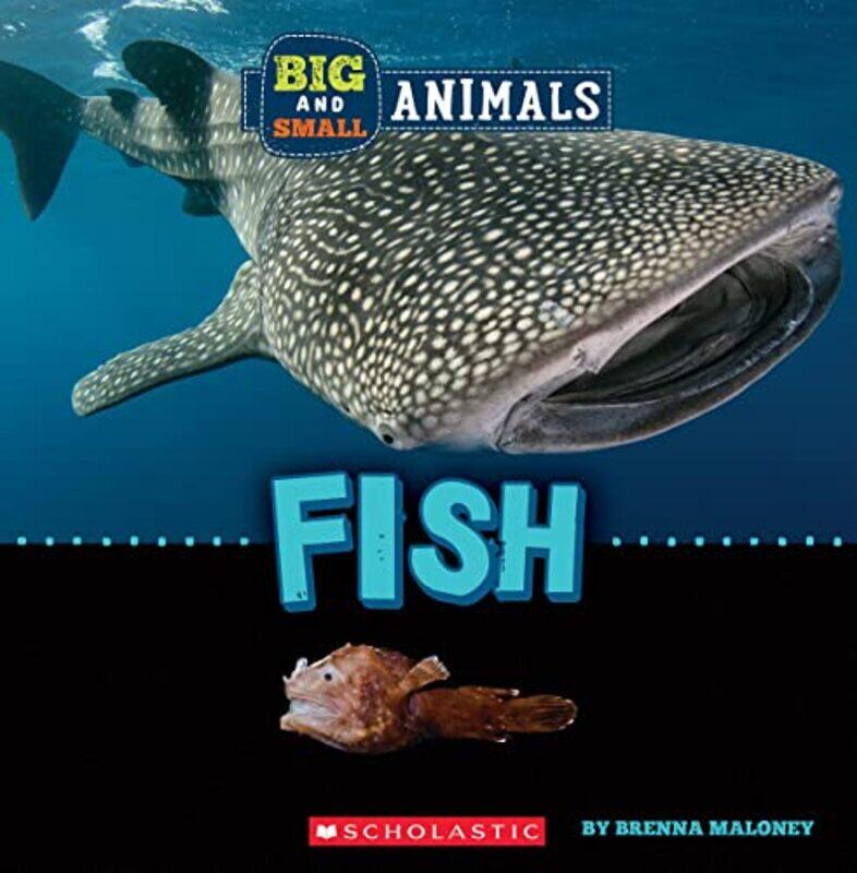 

Big And Small: Fish (Wild World),Paperback,by:Brenna Maloney