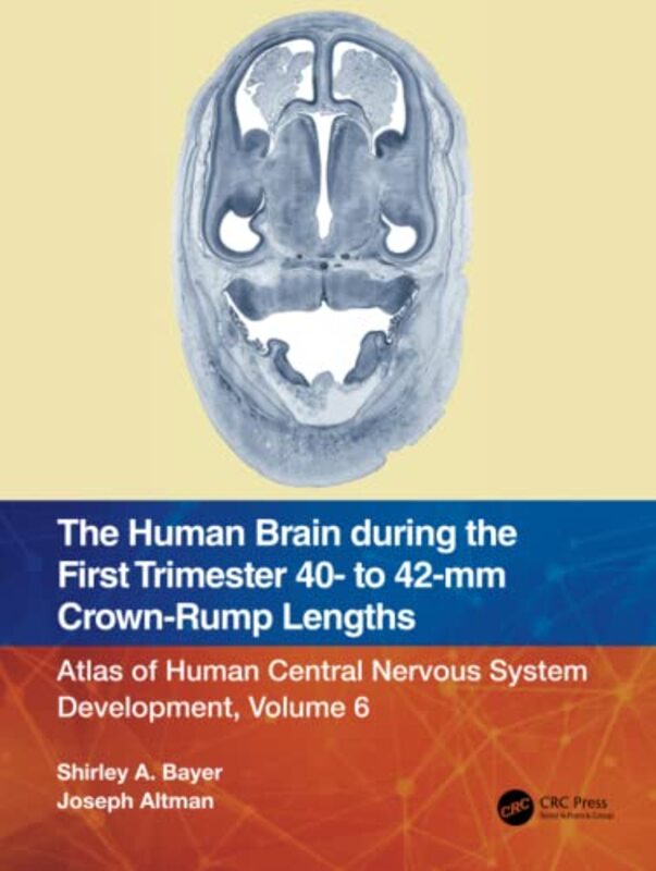 Human Brain During The First Trimester 40 To 42Mm Crownrump Lengths By Shirley A Bayer - Paperback